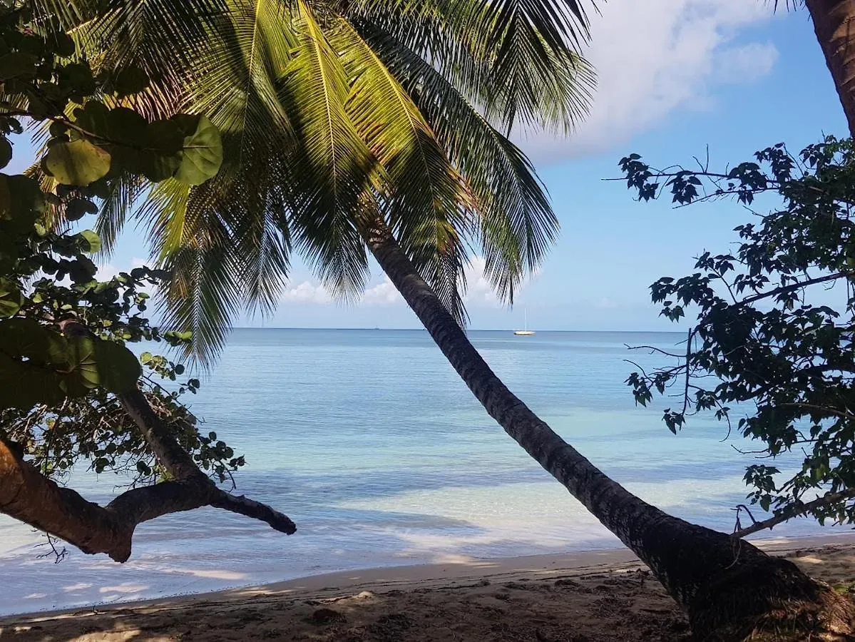 Residence Kawann Plage & Piscine - Hamaca 102 Folle Anse