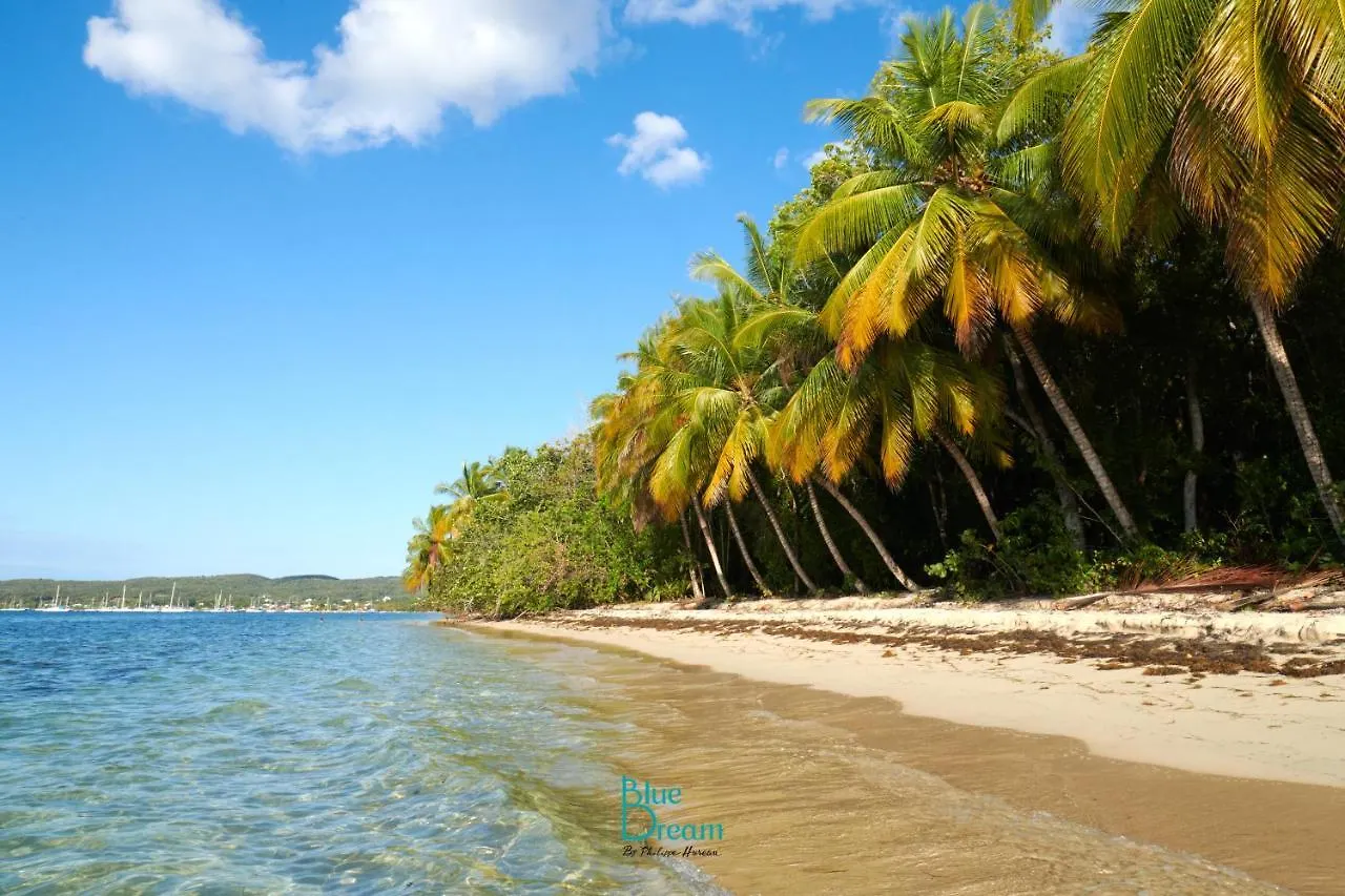 Residence Kawann Plage & Piscine - Hamaca 102 Folle Anse 0*,  Guadalupe